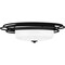 Quoizel Calliope Flush Mount 2 Lights Matte Black. CPE1620MBK - alternate 4